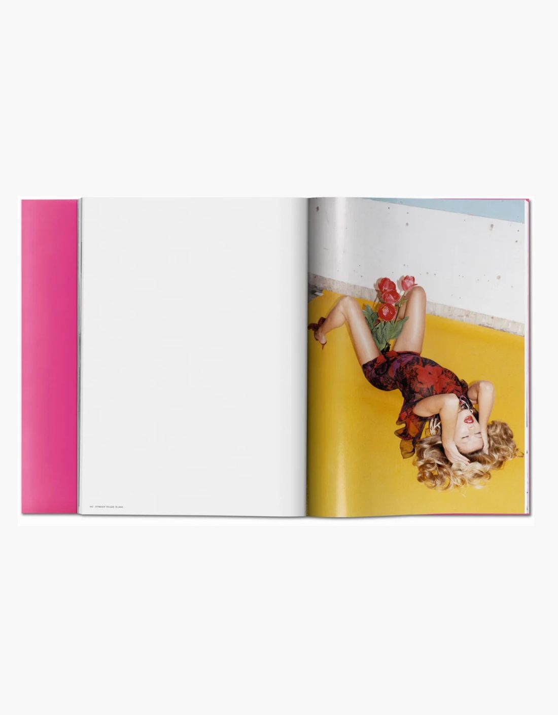 Libro - Gisele Bündchen