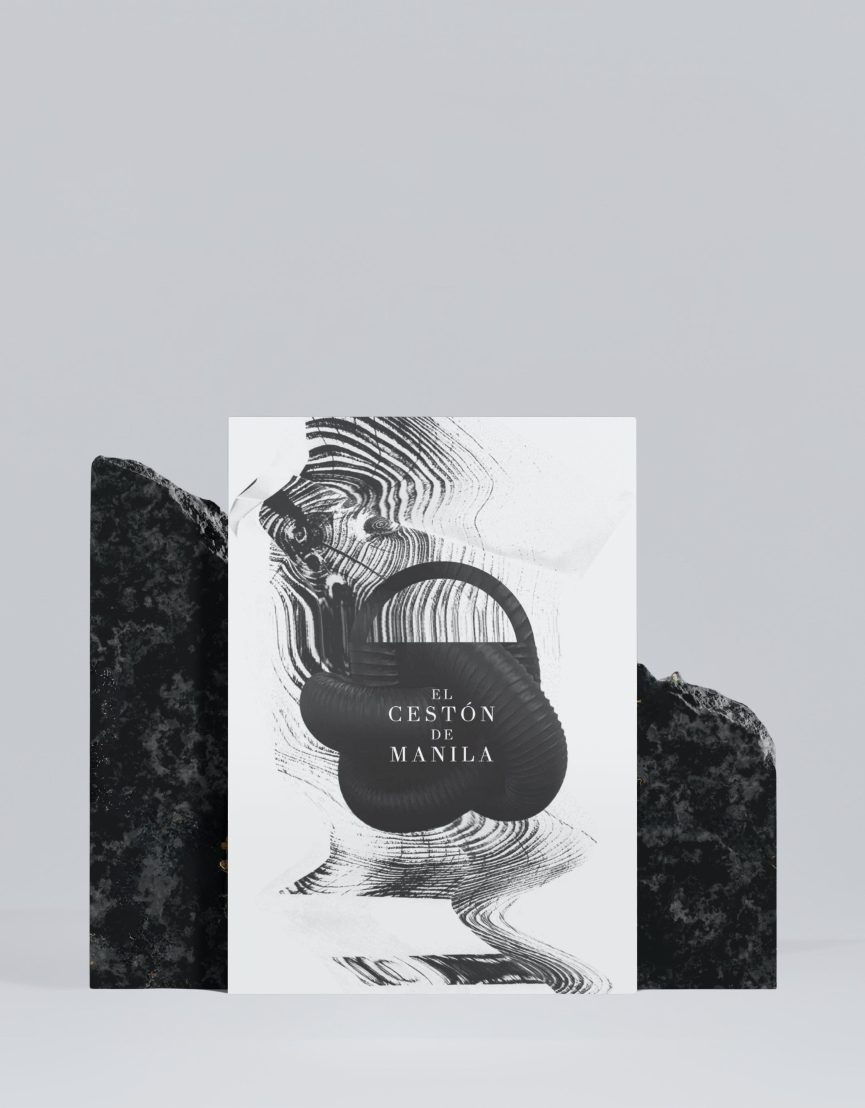 BOLETOS CESTÓN - 2026 (Tramo 10)