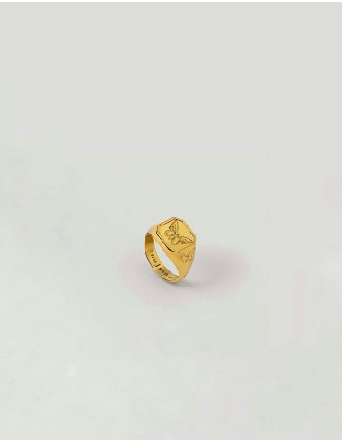 Anillo Twojeys Butterfly Gold