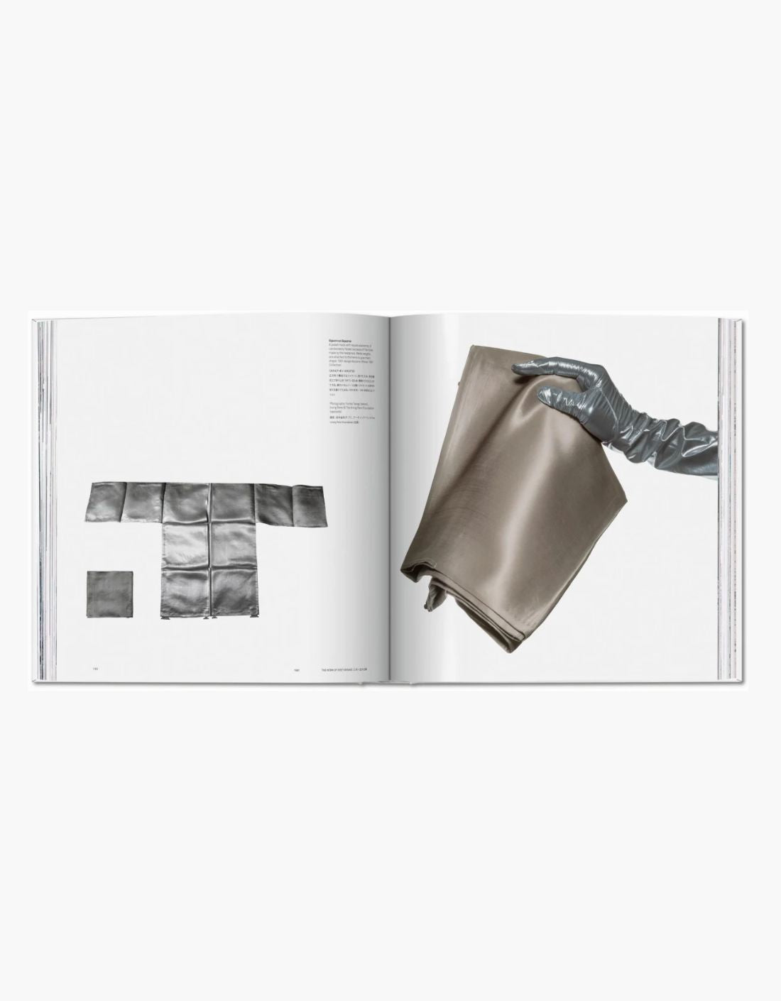 Libro - Issey Miyake
