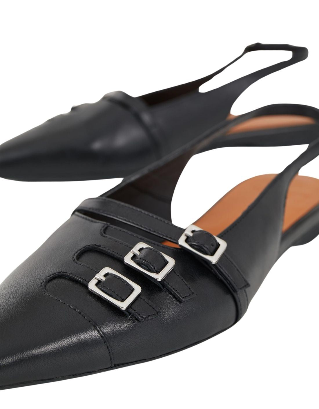 Mule Hermine
