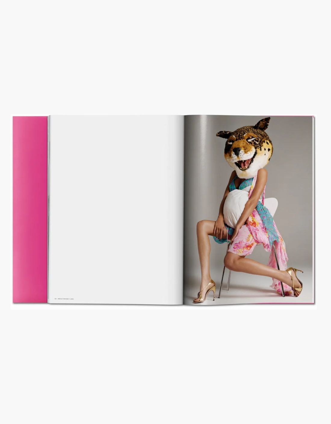 Libro - Gisele Bündchen