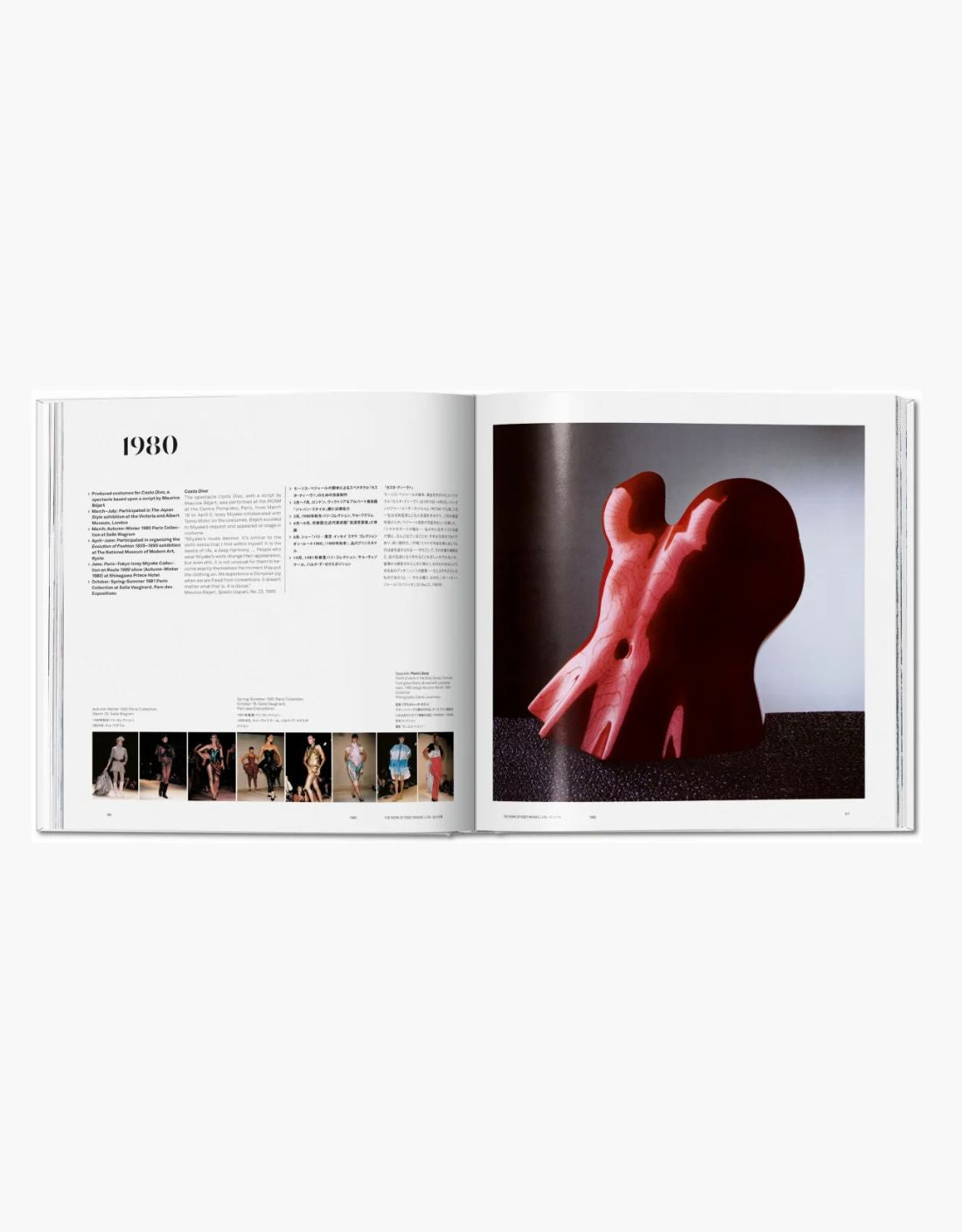 Libro - Issey Miyake