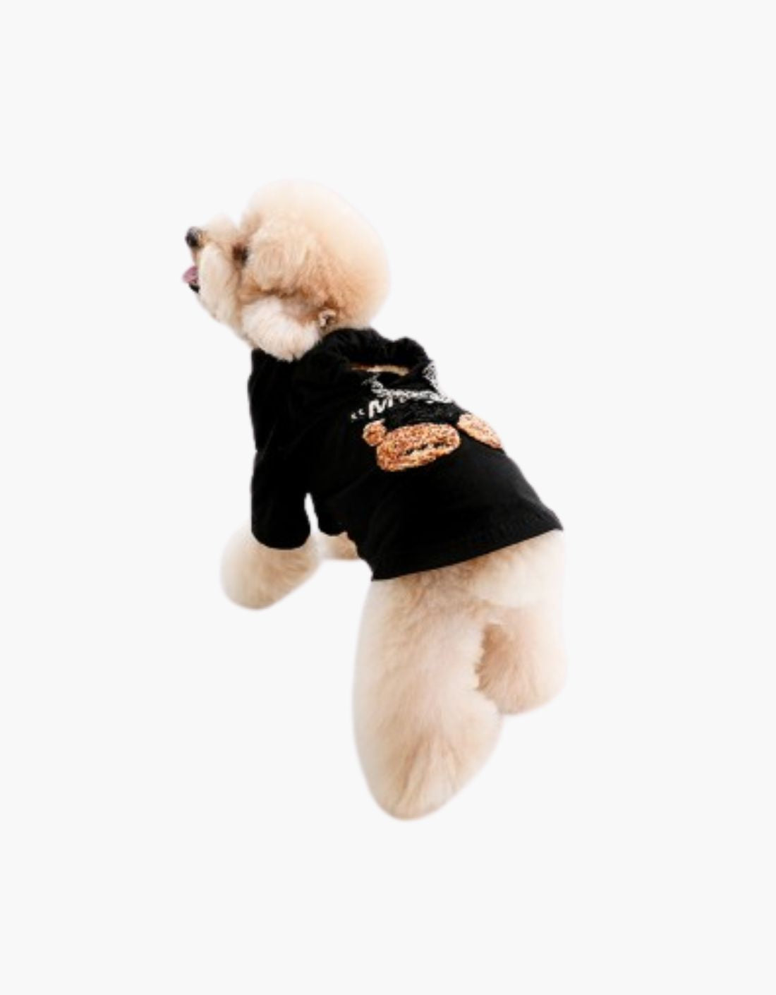 Prenda para mascotas "Mike Teddy"